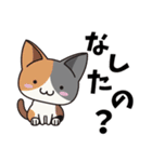 会津弁ねこ3（個別スタンプ：23）