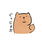 ぬるっとカピバラスタンプ（個別スタンプ：1）