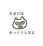 怖そうな猫（個別スタンプ：2）