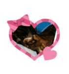 色々heart（個別スタンプ：1）
