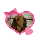 色々heart（個別スタンプ：3）