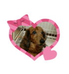 色々heart（個別スタンプ：8）