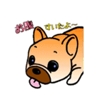 可愛い動物の仲間達（個別スタンプ：12）