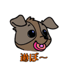 可愛い動物の仲間達（個別スタンプ：17）