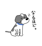 犬のまーるー（個別スタンプ：17）