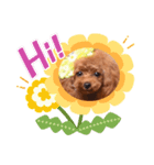 Rinちゃんの きもち（個別スタンプ：1）