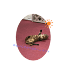 YUKAINADOUBUTUTACHG（個別スタンプ：1）