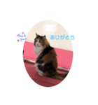YUKAINADOUBUTUTACHG（個別スタンプ：2）