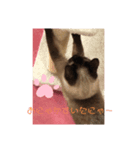YUKAINADOUBUTUTACHG（個別スタンプ：4）