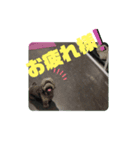 J太郎スタンプその5くらい（個別スタンプ：1）