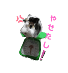 J太郎スタンプその5くらい（個別スタンプ：3）