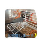 小鳥と虫（個別スタンプ：2）