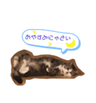 はなちゃんの平和な日常（個別スタンプ：8）