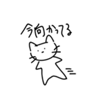 きょむネコ（個別スタンプ：13）