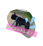 おおおおおおき（個別スタンプ：2）