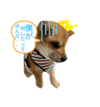 福来来たる（個別スタンプ：8）