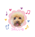 ここちゃんのきもち（個別スタンプ：3）