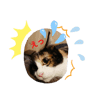 こだちゃんの気持ち（個別スタンプ：4）