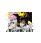 こだちゃんの気持ち（個別スタンプ：7）