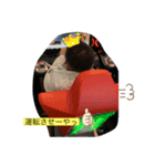 せーやさん（個別スタンプ：3）