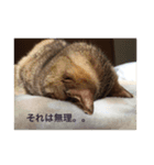 あの日のククちゃん（個別スタンプ：2）