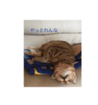 あの日のククちゃん（個別スタンプ：3）