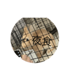 coco第二弾35543575（個別スタンプ：3）