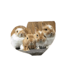 coco第二弾35543575（個別スタンプ：4）
