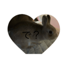 coco第二弾35543575（個別スタンプ：5）