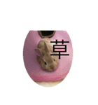 coco第二弾35543575（個別スタンプ：6）