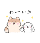 仲良しうさぎいぬ（個別スタンプ：7）