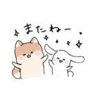 仲良しうさぎいぬ（個別スタンプ：13）