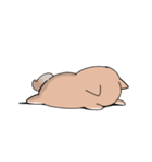 仲良しうさぎいぬ（個別スタンプ：19）