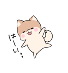 仲良しうさぎいぬ（個別スタンプ：24）