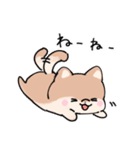 仲良しうさぎいぬ（個別スタンプ：28）