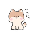 仲良しうさぎいぬ（個別スタンプ：37）