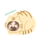 でぶまろ（個別スタンプ：3）