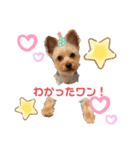 なかよしかぞく〜子供時々犬〜（個別スタンプ：3）