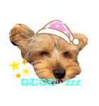 なかよしかぞく〜子供時々犬〜（個別スタンプ：4）