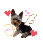 なかよしかぞく〜子供時々犬〜（個別スタンプ：5）