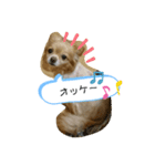 レイン(＾ω＾U)（個別スタンプ：3）
