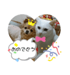 レイン(＾ω＾U)（個別スタンプ：4）
