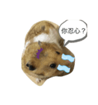 ネズミ来ました（個別スタンプ：1）
