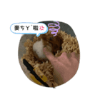ネズミ来ました（個別スタンプ：6）