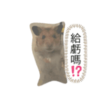 ネズミ来ました（個別スタンプ：8）