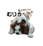 minma_20200220231836（個別スタンプ：6）