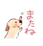 毎日がしあわせな犬の日常（個別スタンプ：37）