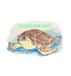 僕らは海洋生物（個別スタンプ：1）