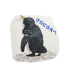 僕らは海洋生物（個別スタンプ：3）