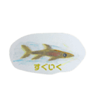 僕らは海洋生物（個別スタンプ：7）